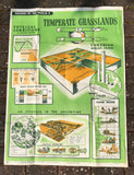 1960’s Large Educational Poster